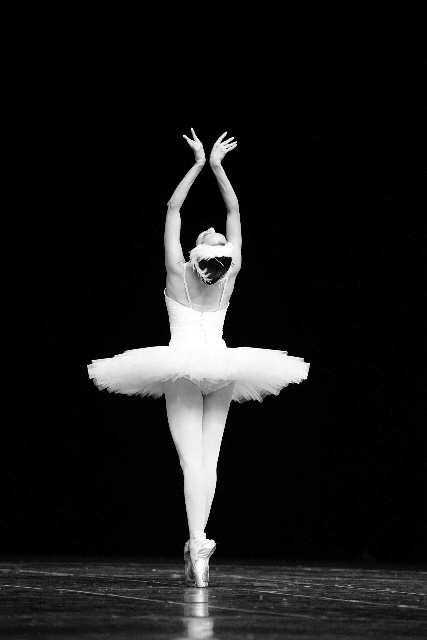 Holiday Ballet (Late December 2025)